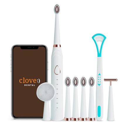 Lifelong Electric Toothbrush for Adults with Free Clove Dental Care Pack
