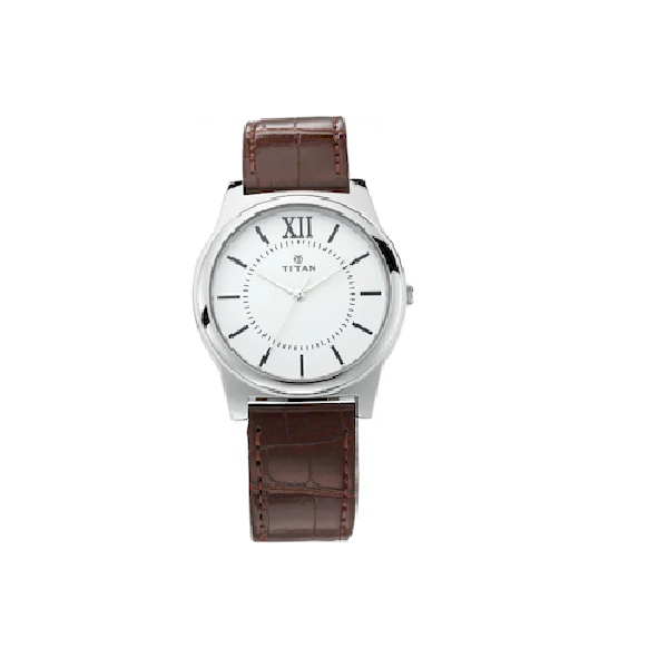 Titan Analog Watch