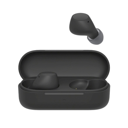 Sony C510 Truly Wireless Bluetooth Earbuds with Mic