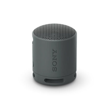 Sony Portable Wireless Speaker (XB-100)
